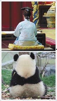 吃瓜群众争观娱乐圈,吃瓜群众围观大戏连连