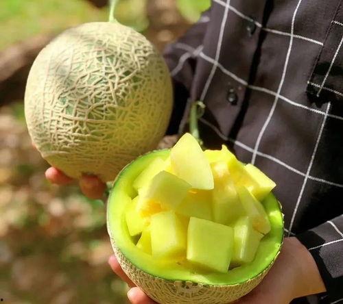 娱乐圈吃瓜壁纸图片高清,高清壁纸揭秘明星幕后生活