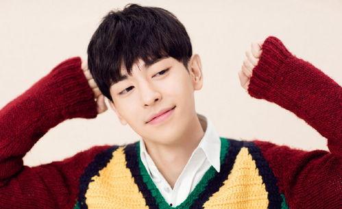 爱豆吃瓜娱乐酱邢昭林,从爱豆到吃瓜娱乐酱的华丽转身