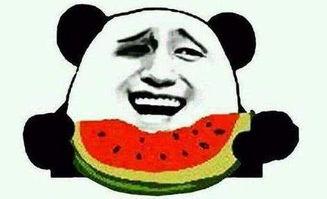 娱乐吃瓜君遛鸟大师,遛鸟大师的传奇人生