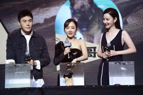 娱乐圈吧吃瓜爆料