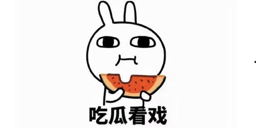 娱乐吃瓜酱梗,吃瓜酱背后的那些事儿